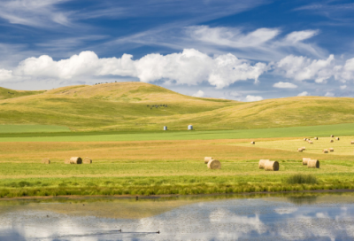 ​给儿子女朋友的祝福语-50句