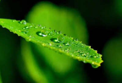 ​生日祝福语对自己说-53句