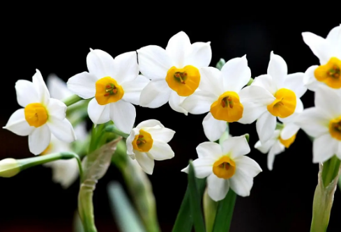 1688736566494623.png image.png