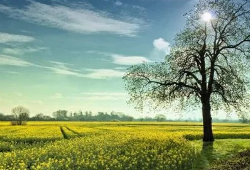 1688737425544809.png image.png