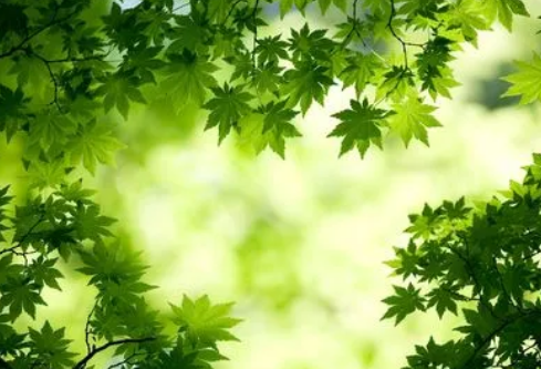 1688737597178014.png image.png