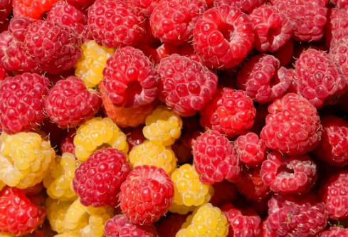 1688759044133590.png image.png