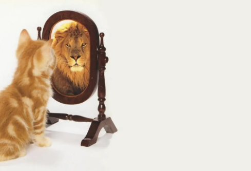 1688760417339327.png image.png