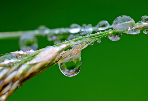 1688762133951529.png image.png