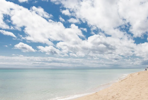 1688762305275450.png image.png