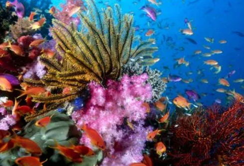 1688762820410652.png image.png