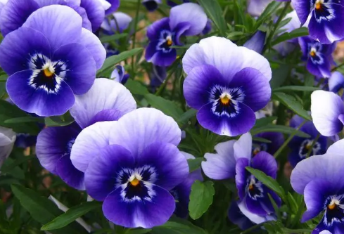 1688764364370094.png image.png