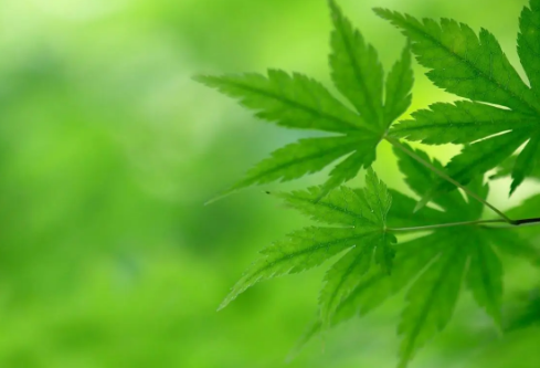 1688764707528913.png image.png