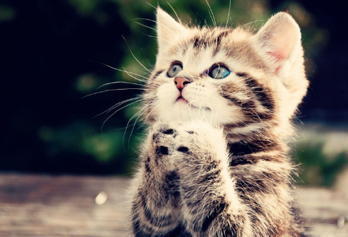 1688776377700017.png image.png