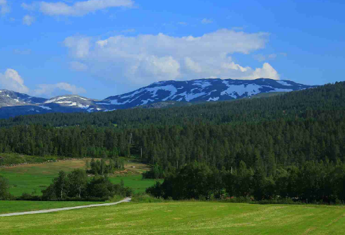 1688778779370905.png image.png