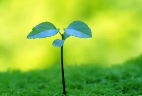 1688778950566226.png image.png