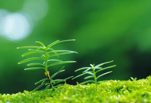 1688779637430021.png image.png