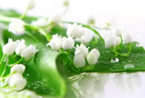 1688836852372519.png image.png