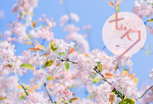 1688837185792314.png image.png