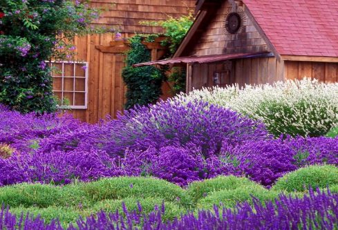 1688839021809982.png image.png