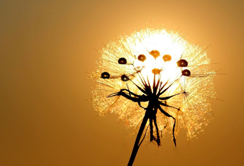 1688839187813590.png image.png