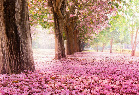 1688840523321313.png image.png