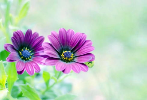 1688840856335664.png image.png