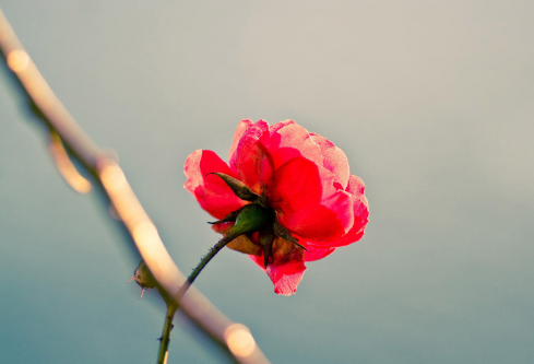 1688842191512378.png image.png