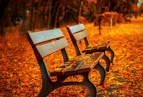 1688843860992453.png image.png