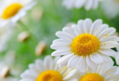 ​儿童益智故事300篇在线阅读