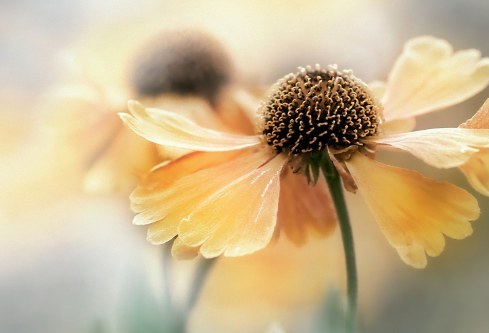 1688847198734703.png image.png