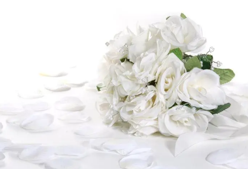 1688847365875719.png image.png