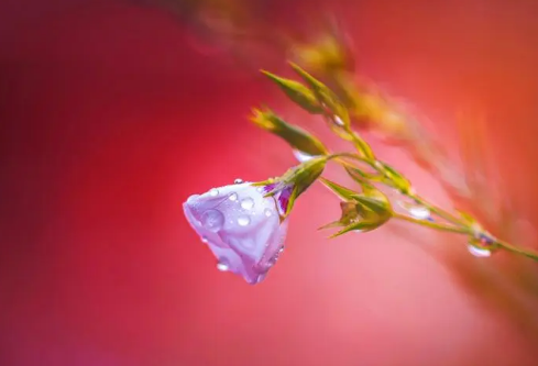 1688848534977455.png image.png