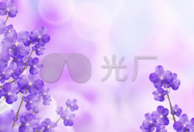 ​一年级小故事100篇简单