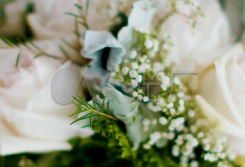 1688851204609371.png image.png