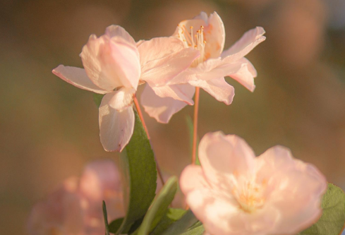 1688852539993137.png image.png