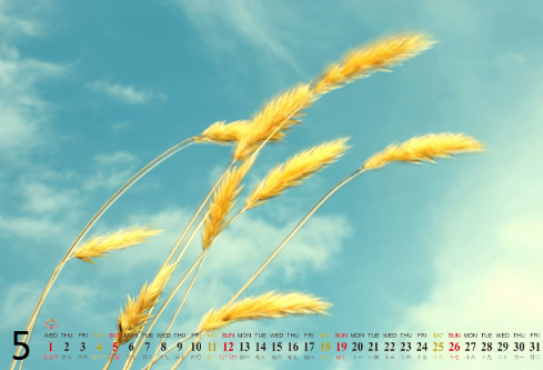 1688853040264436.png image.png