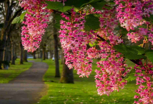 1688853540765273.png image.png