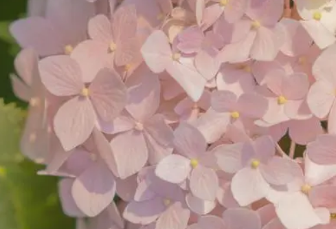 1688916915922045.png image.png