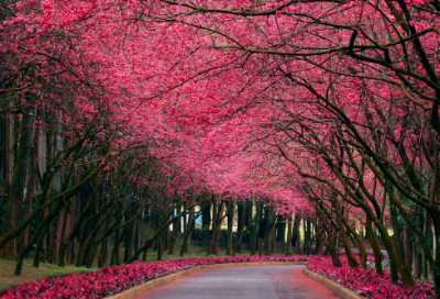 ​50个暖心睡前小故事短篇