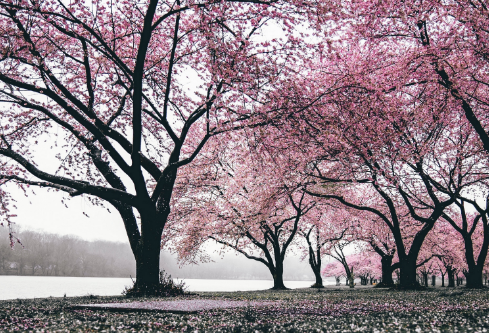 1688917583590718.png image.png