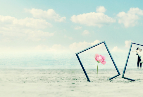 1688918752212237.png image.png