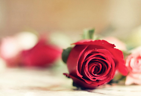 1688920088989249.png image.png