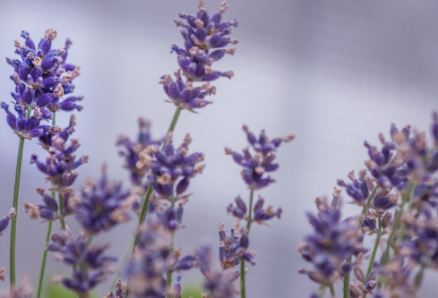 1688921423632228.png image.png