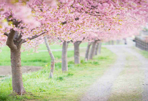 1688922256146319.png image.png