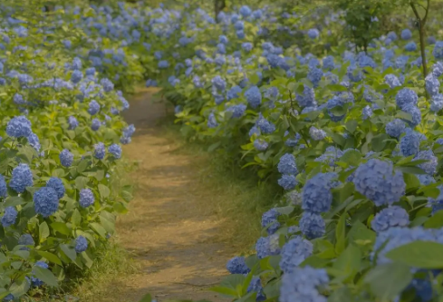 1688922756360711.png image.png