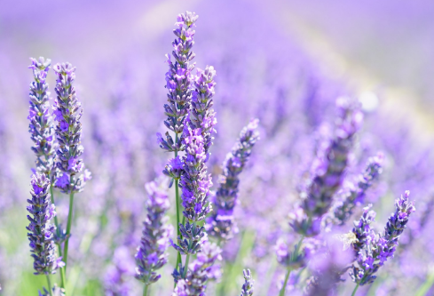 1688924588505968.png image.png