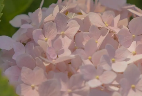 1688925254541726.png image.png