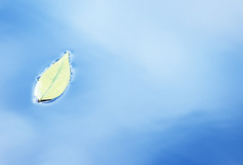 1688925420215884.png image.png