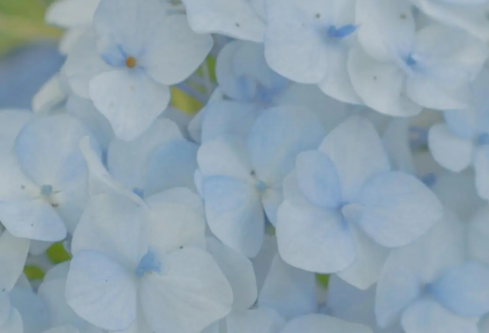 1688926420379863.png image.png