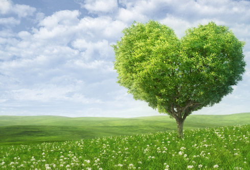 1688927420216433.png image.png