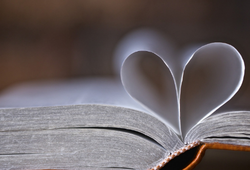 1688928086973179.png image.png