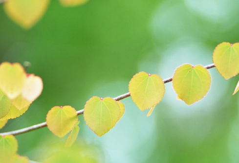 1688928920179260.png image.png