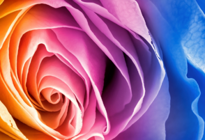 ​赛温失马焉知非福的故事（塞翁失马的寓意和道理）