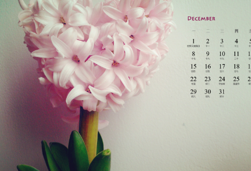 1688935922327771.png image.png